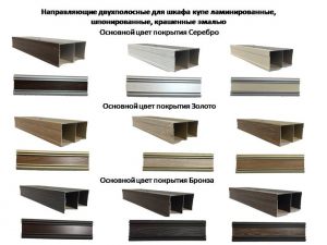 Направляющие двухполосные для шкафа купе ламинированные, шпонированные, крашенные эмалью Челябинск